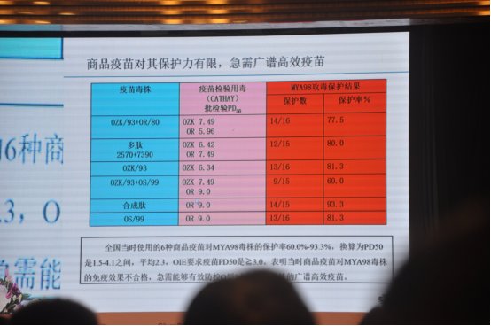 11.3主会场1371.png