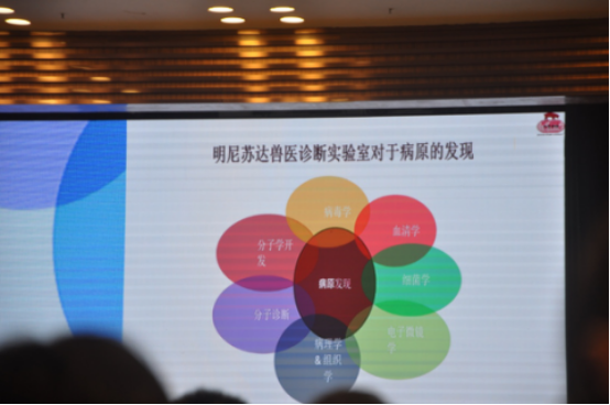 11.3主会场2018.png